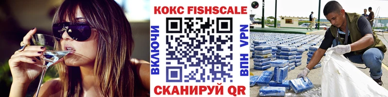 цены наркотик  Нерчинск  COCAIN FishScale 