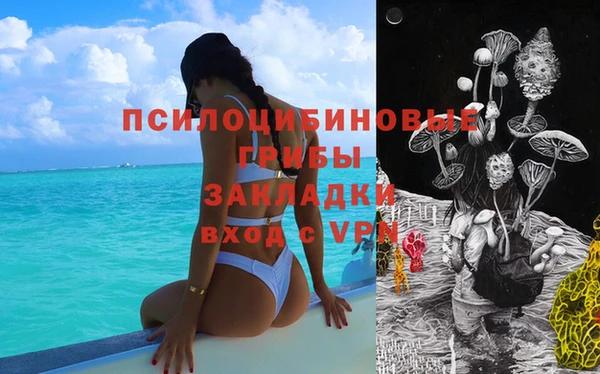 дурь Вяземский