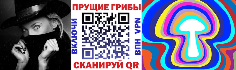 Галлюциногенные грибы Psilocybine cubensis  купить   Нерчинск 